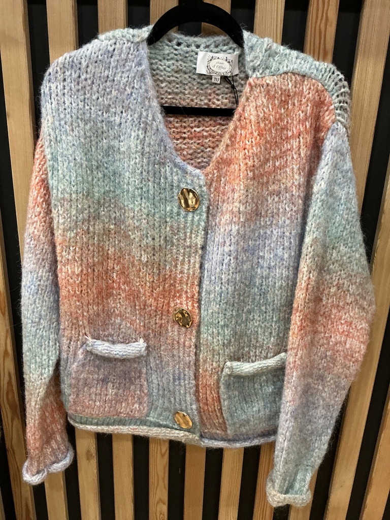 Gilet arc en ciel boutons dorés 