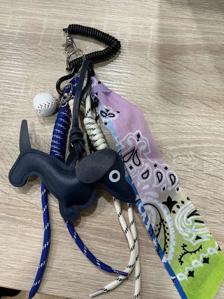 Bijou de sac/Porte clés teckel
