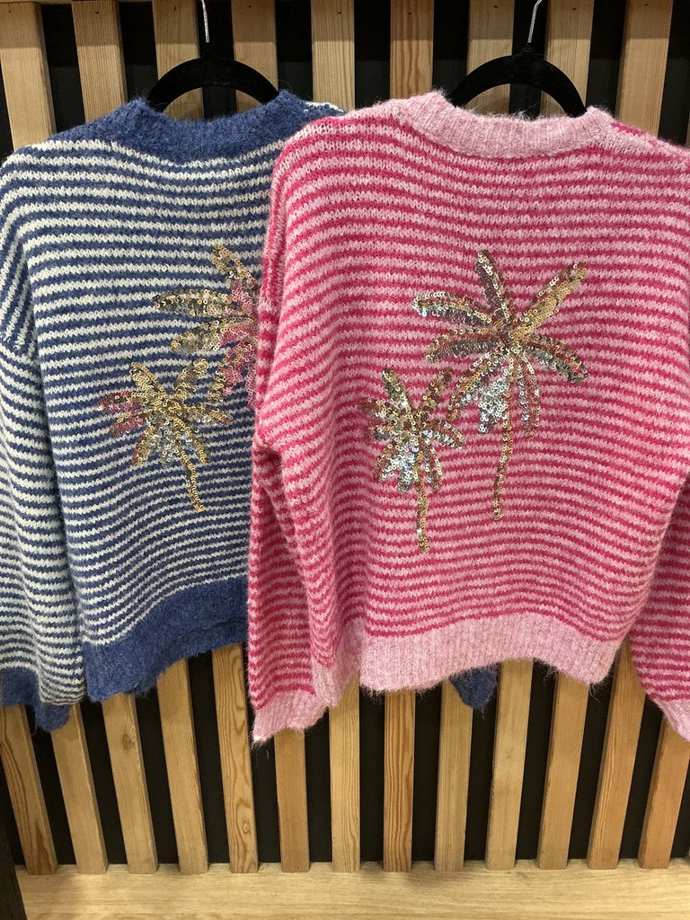 Pull rayée palmier dans le dos