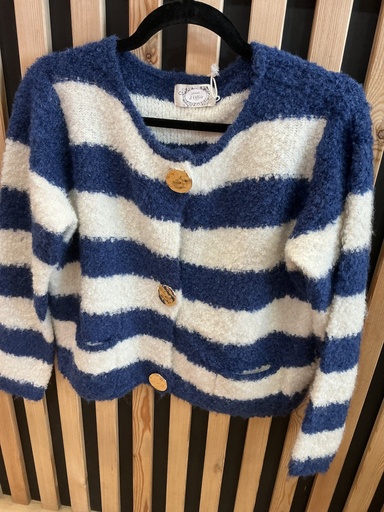 Gilet rayé bleu 