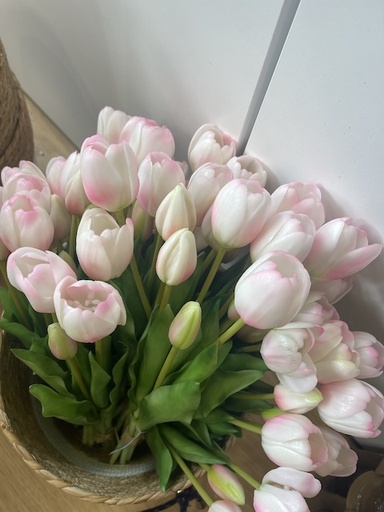 Bouquet 5 tulipes Blanc et rose